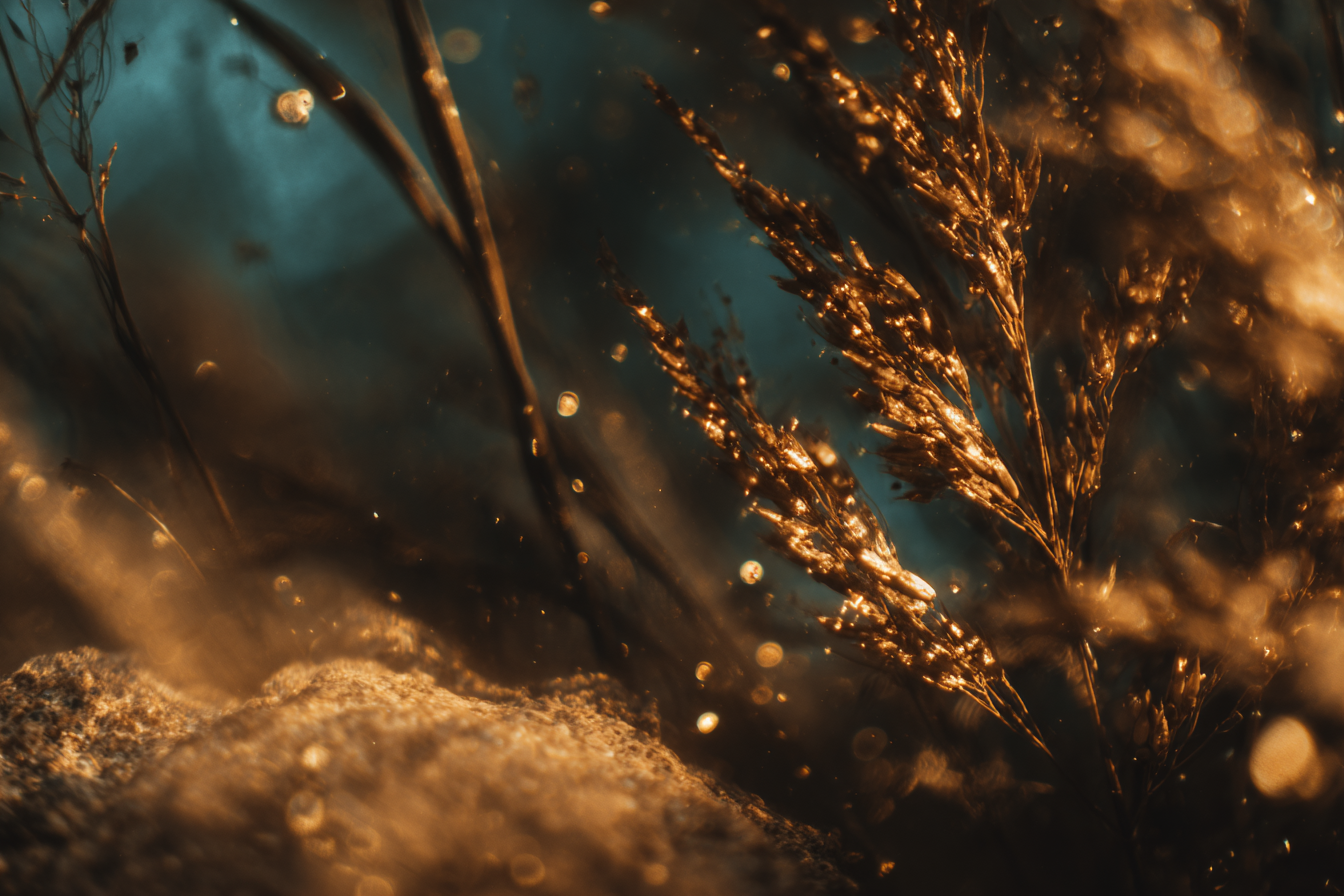 The BPO Industry at an Inflection Point: AI, Disruption, and Strategic Rebalancing